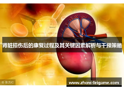 肾脏损伤后的康复过程及其关键因素解析与干预策略 肾脏损伤后的康复过程及其关键因素解析与干预策略