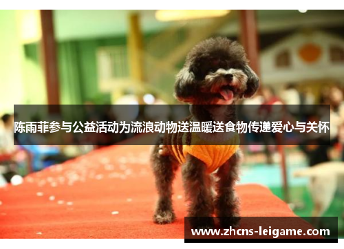 陈雨菲参与公益活动为流浪动物送温暖送食物传递爱心与关怀 陈雨菲参与公益活动为流浪动物送温暖送食物传递爱心与关怀